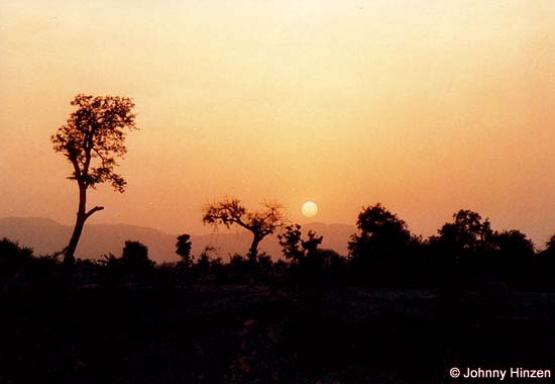 Bild Nr. 232 - 257 mal gesehen