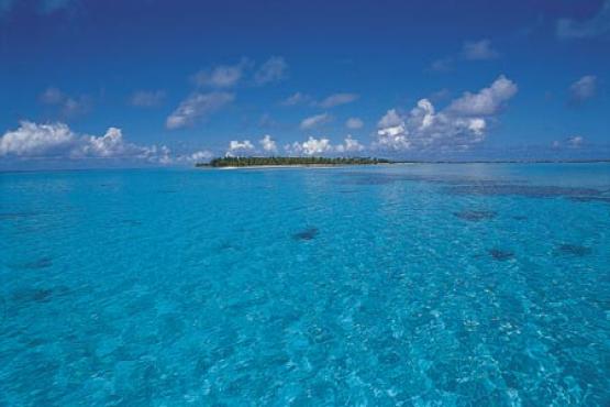 Bild Nr. 23337 - 1684 mal gesehen