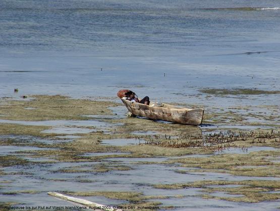 Bild Nr. 2357 - 413 mal gesehen Bild Nr. 2357 - 413 mal gesehen