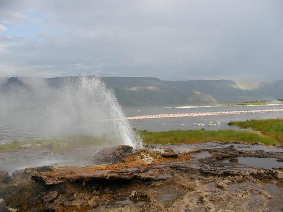 Bild Nr. 2358 - 420 mal gesehen Bild Nr. 2358 - 420 mal gesehen