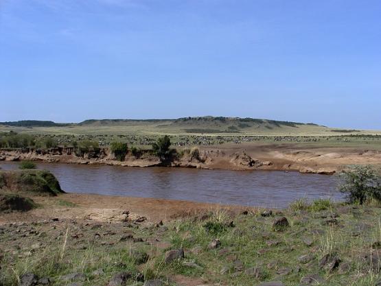 Bild Nr. 2359 - 423 mal gesehen Bild Nr. 2359 - 423 mal gesehen