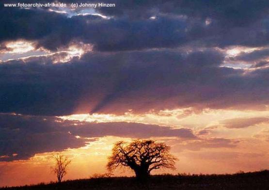 Bild Nr. 235 - 203 mal gesehen Bild Nr. 235 - 203 mal gesehen