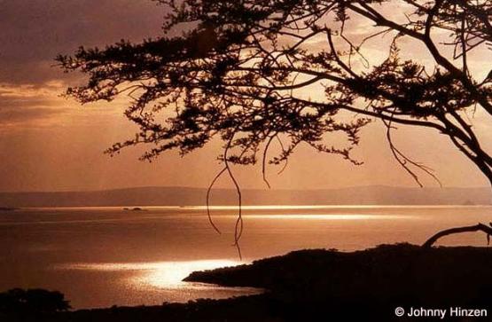 Bild Nr. 236 - 201 mal gesehen Bild Nr. 236 - 201 mal gesehen