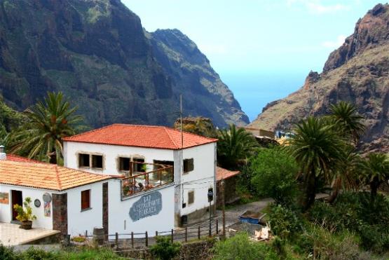 Bild Nr. 23995 - 295 mal gesehen Bild Nr. 23995 - 295 mal gesehen