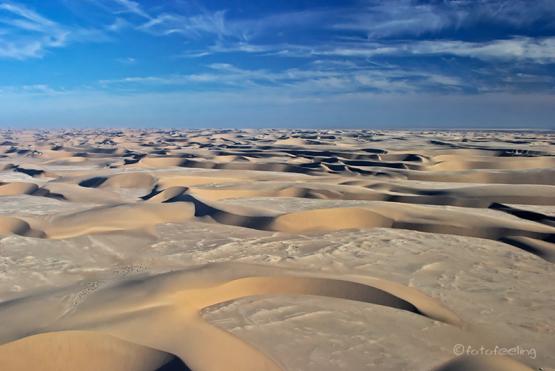 Bild Nr. 24183 - 267 mal gesehen