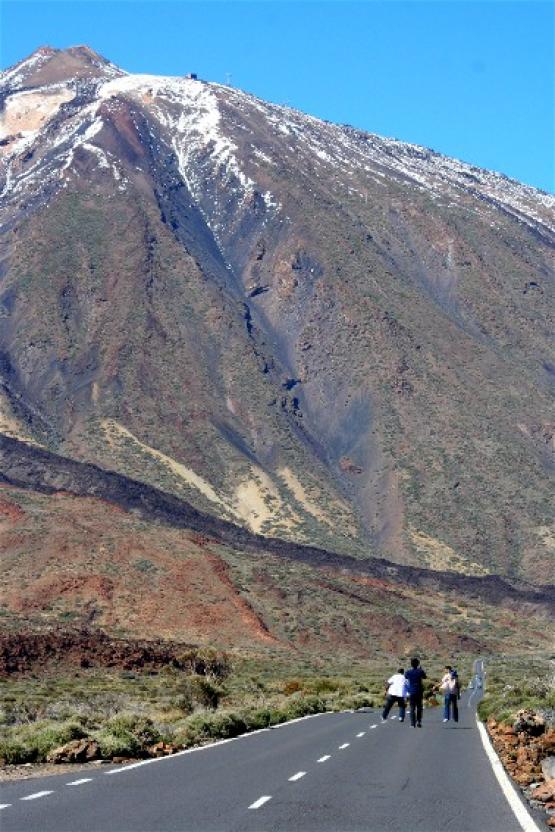 Bild Nr. 24250 - 413 mal gesehen