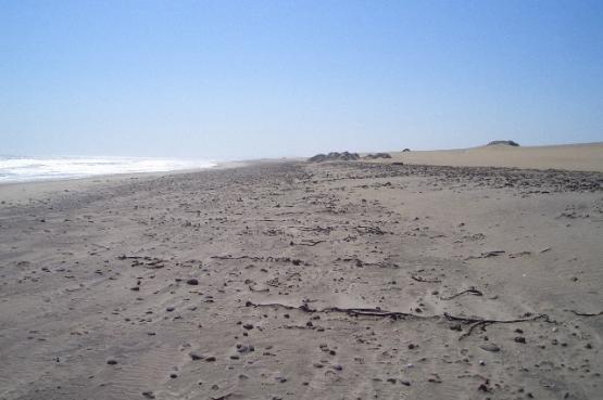 Bild Nr. 24426 - 41 mal gesehen