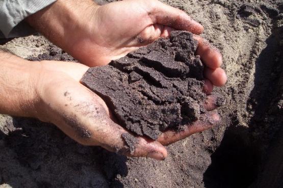 Bild Nr. 24428 - 30 mal gesehen