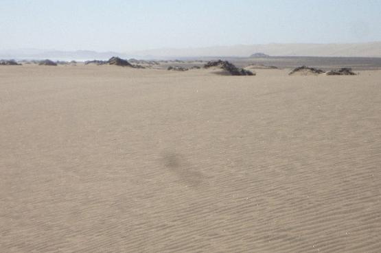 Bild Nr. 24430 - 30 mal gesehen