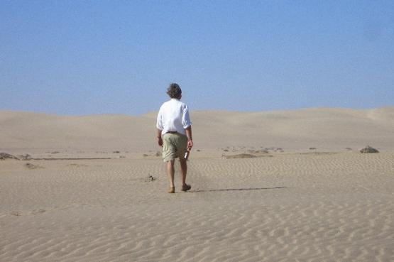 Bild Nr. 24431 - 31 mal gesehen