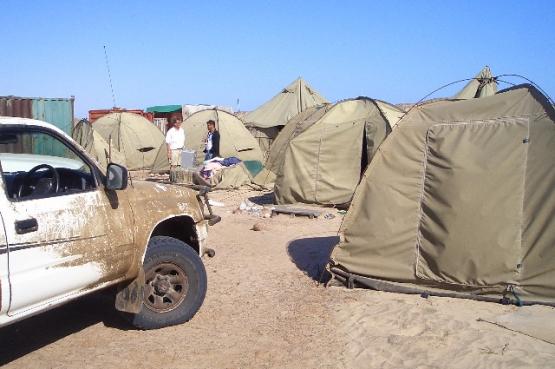 Bild Nr. 24435 - 31 mal gesehen