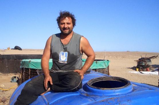 Bild Nr. 24443 - 42 mal gesehen