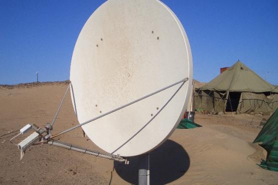 Bild Nr. 24446 - 28 mal gesehen