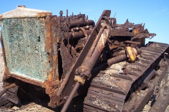 Bild Nr. 24455 - 31 mal gesehen