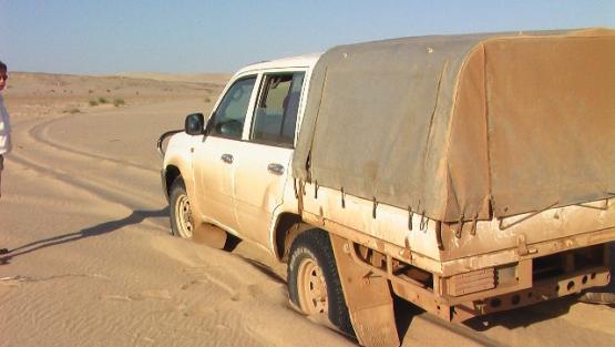 Bild Nr. 24463 - 35 mal gesehen