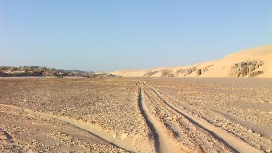 Bild Nr. 24465 - 57 mal gesehen