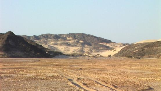 Bild Nr. 24469 - 66 mal gesehen