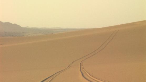 Bild Nr. 24483 - 63 mal gesehen