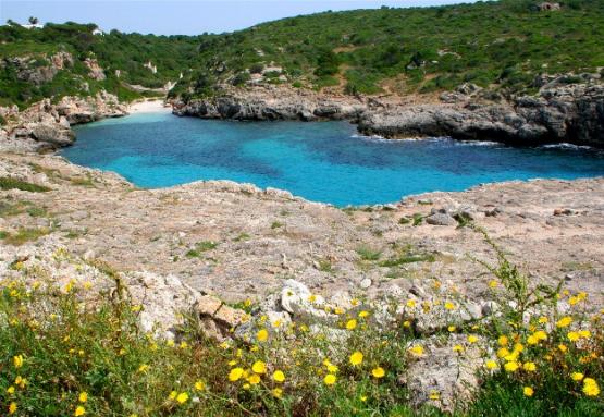 Bild Nr. 24786 - 422 mal gesehen