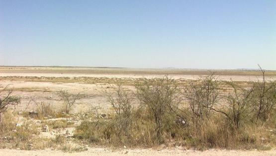 Bild Nr. 24826 - 317 mal gesehen