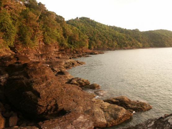 Bild Nr. 2498 - 175 mal gesehen