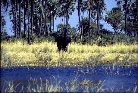 Bild Nr. 250 - 163 mal gesehen Bild Nr. 250 - 163 mal gesehen