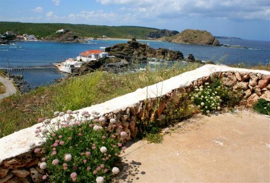 Bild Nr. 25276 - 284 mal gesehen Bild Nr. 25276 - 284 mal gesehen