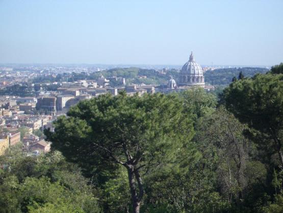 Bild Nr. 25646 - 240 mal gesehen