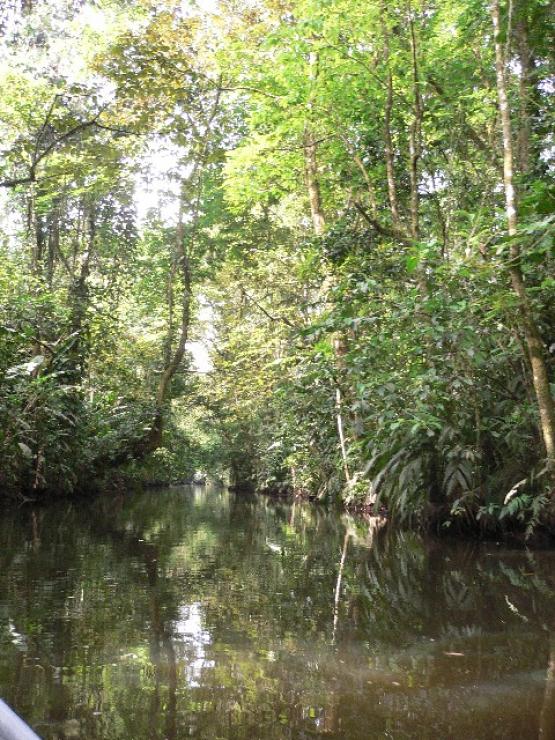 Bild Nr. 25665 - 178 mal gesehen