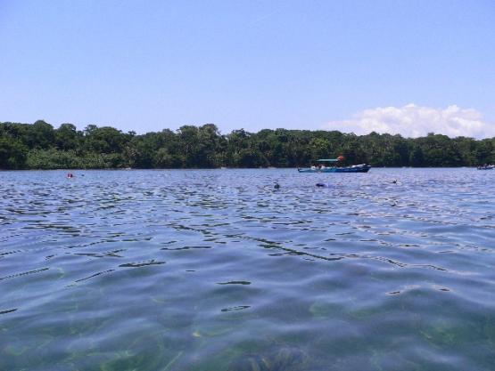 Bild Nr. 25707 - 262 mal gesehen