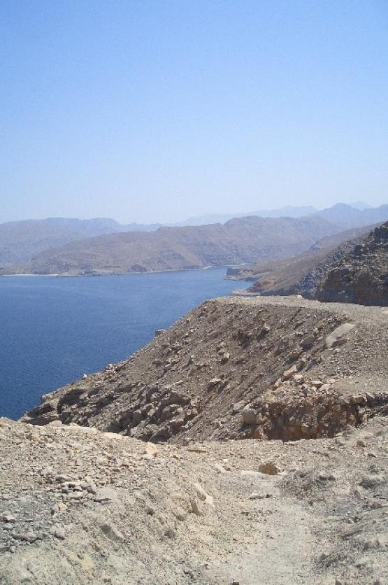 Bild Nr. 25772 - 255 mal gesehen