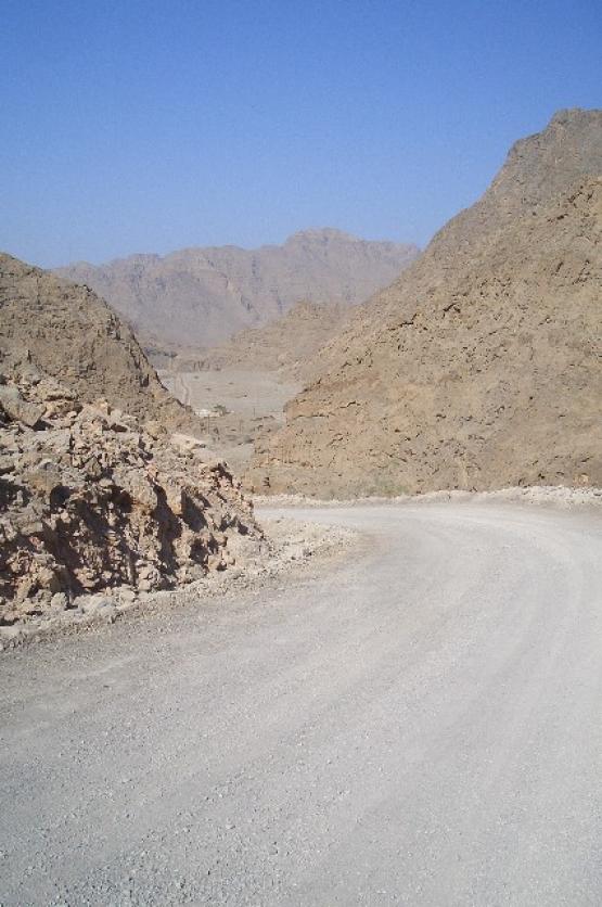 Bild Nr. 25783 - 245 mal gesehen