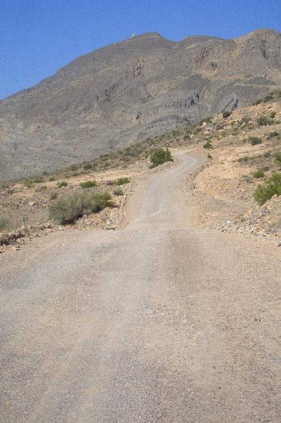 Bild Nr. 25798 - 223 mal gesehen