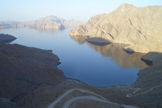 Bild Nr. 25822 - 277 mal gesehen