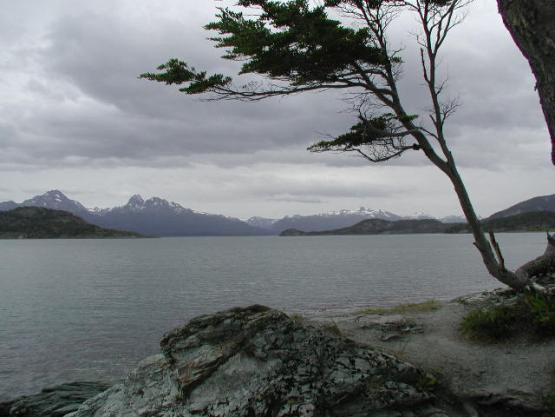 Bild Nr. 2596 - 270 mal gesehen