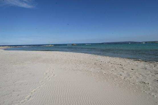 Bild Nr. 26050 - 281 mal gesehen