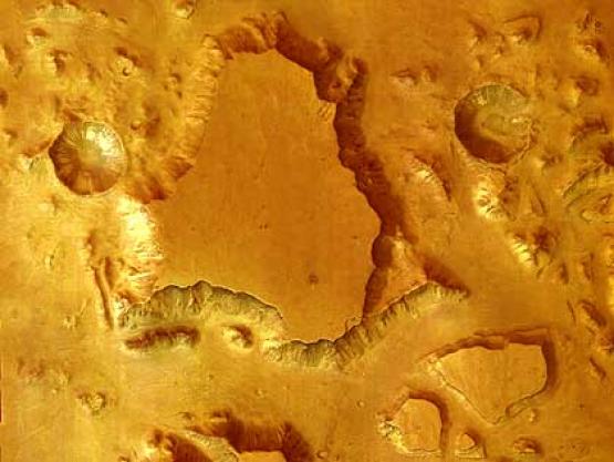 Bild Nr. 2607 - 205 mal gesehen