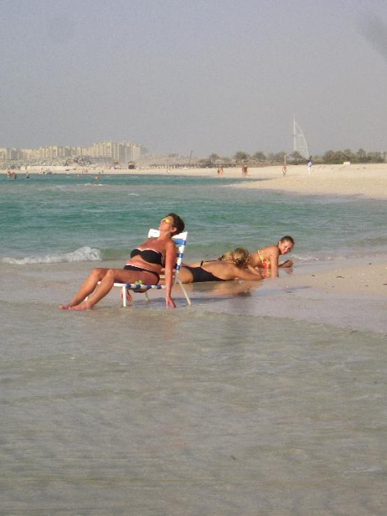 Bild Nr. 26219 - 261 mal gesehen