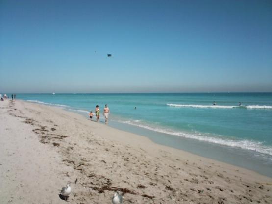 Bild Nr. 2642 - 401 mal gesehen