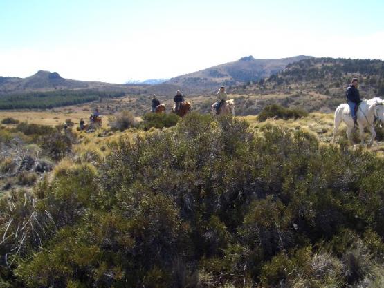 Bild Nr. 26563 - 186 mal gesehen