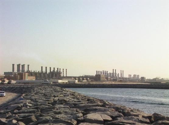 Bild Nr. 26641 - 529 mal gesehen