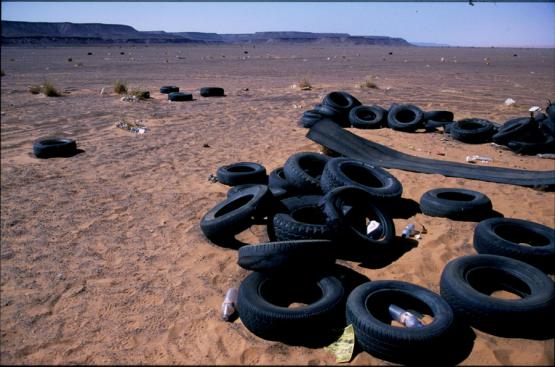 Bild Nr. 268 - 191 mal gesehen Bild Nr. 268 - 191 mal gesehen