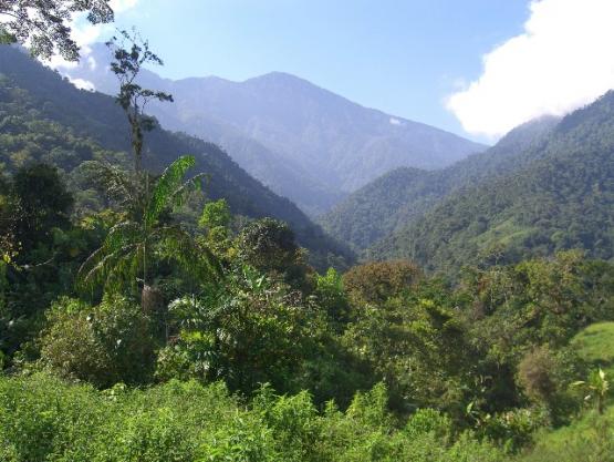 Bild Nr. 27170 - 718 mal gesehen