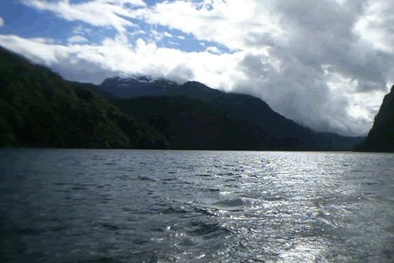 Bild Nr. 27372 - 272 mal gesehen