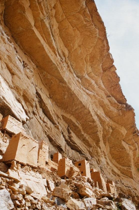 Bild Nr. 27710 - 418 mal gesehen Bild Nr. 27710 - 418 mal gesehen