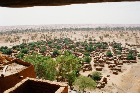 Bild Nr. 27711 - 392 mal gesehen Bild Nr. 27711 - 392 mal gesehen