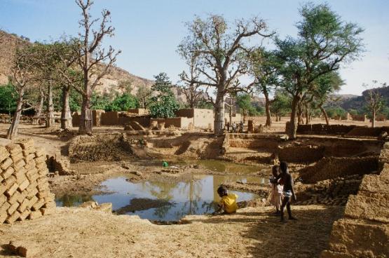 Bild Nr. 27712 - 319 mal gesehen Bild Nr. 27712 - 319 mal gesehen