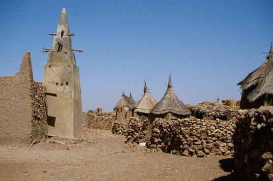 Bild Nr. 27713 - 262 mal gesehen Bild Nr. 27713 - 262 mal gesehen