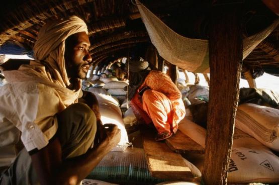 Bild Nr. 27730 - 325 mal gesehen Bild Nr. 27730 - 325 mal gesehen