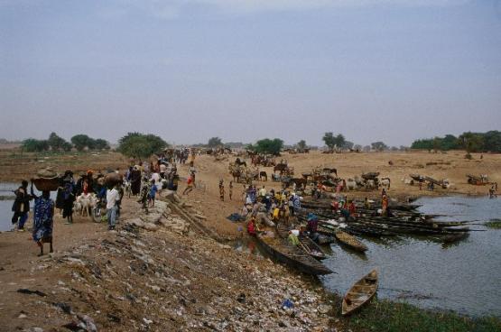 Bild Nr. 27753 - 1110 mal gesehen Bild Nr. 27753 - 1110 mal gesehen